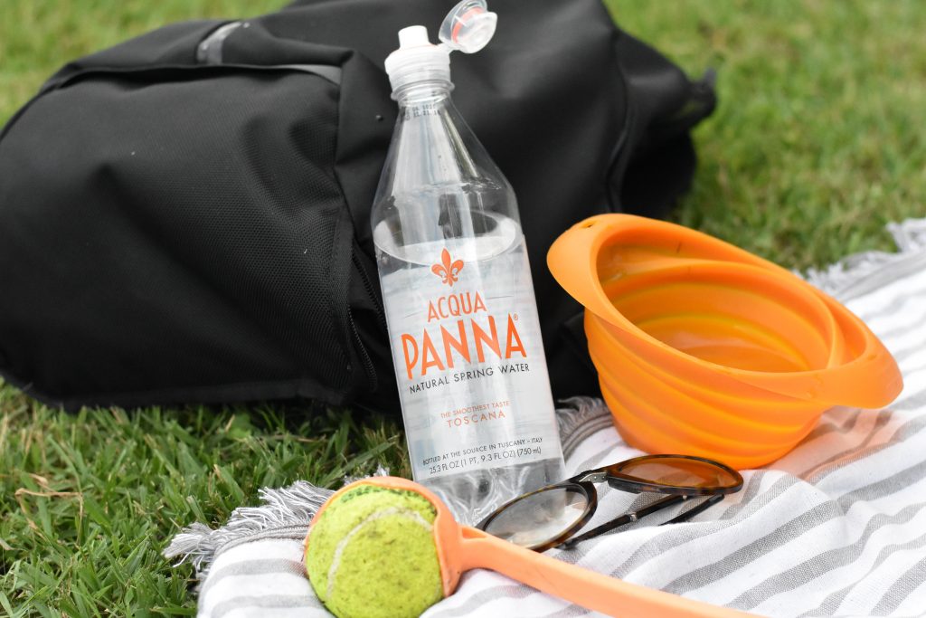 Best Dog Parks in Birmingham The Southern Source